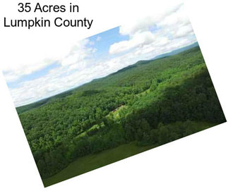 35 Acres in Lumpkin County