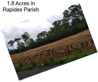 1.8 Acres in Rapides Parish