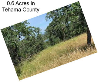 0.6 Acres in Tehama County