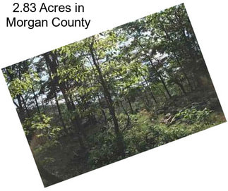 2.83 Acres in Morgan County