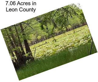 7.06 Acres in Leon County