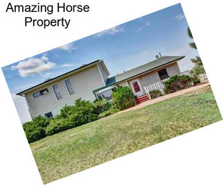 Amazing Horse Property