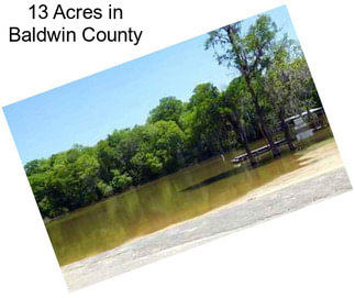 13 Acres in Baldwin County