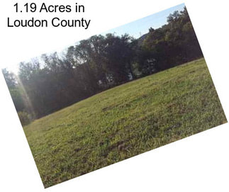 1.19 Acres in Loudon County