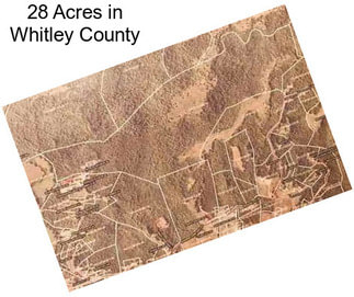 28 Acres in Whitley County