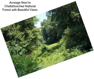 Acreage Next to Chattahoochee National Forest with Beautiful Views