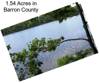 1.54 Acres in Barron County
