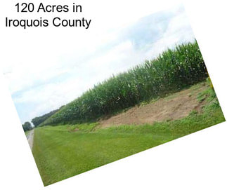 120 Acres in Iroquois County