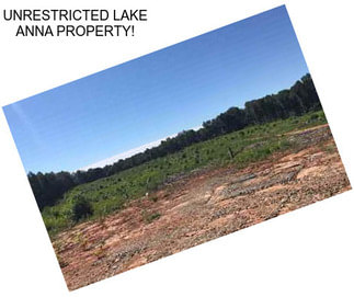 UNRESTRICTED LAKE ANNA PROPERTY!