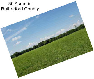 30 Acres in Rutherford County
