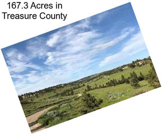 167.3 Acres in Treasure County
