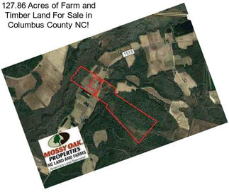 127.86 Acres of Farm and Timber Land For Sale in Columbus County NC!