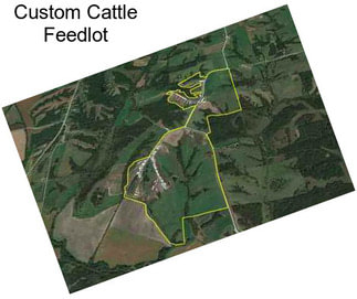 Custom Cattle Feedlot