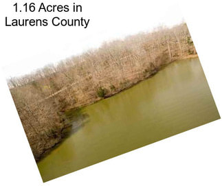 1.16 Acres in Laurens County