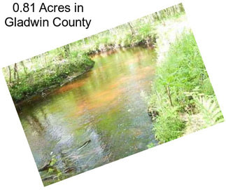 0.81 Acres in Gladwin County