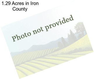 1.29 Acres in Iron County