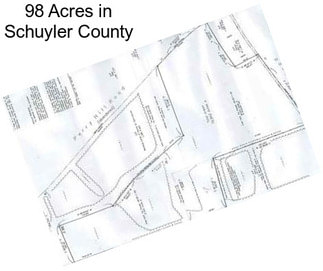 98 Acres in Schuyler County