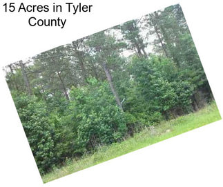 15 Acres in Tyler County