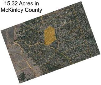 15.32 Acres in McKinley County