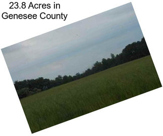 23.8 Acres in Genesee County