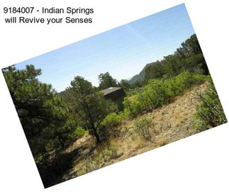 9184007 - Indian Springs will Revive your Senses