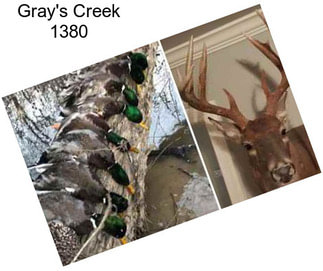 Gray\'s Creek 1380
