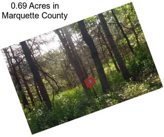 0.69 Acres in Marquette County