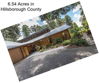 6.54 Acres in Hillsborough County