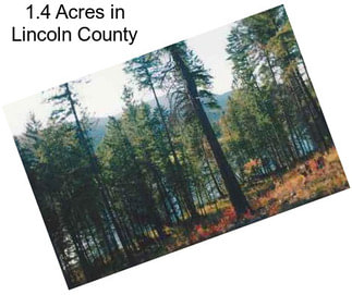 1.4 Acres in Lincoln County