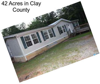 42 Acres in Clay County