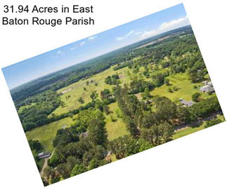 31.94 Acres in East Baton Rouge Parish