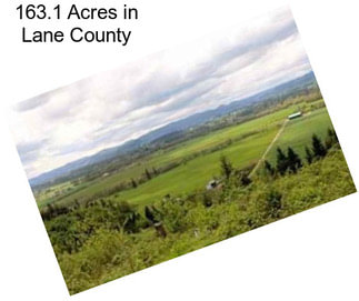 163.1 Acres in Lane County