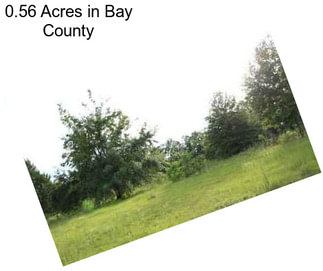 0.56 Acres in Bay County