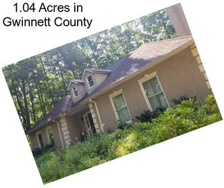 1.04 Acres in Gwinnett County