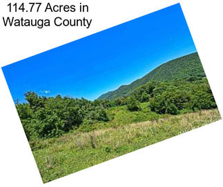 114.77 Acres in Watauga County