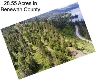 28.55 Acres in Benewah County
