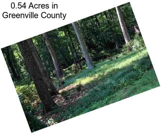 0.54 Acres in Greenville County