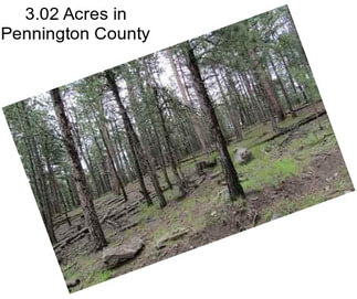 3.02 Acres in Pennington County