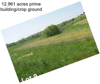 12.961 acres prime building/crop ground