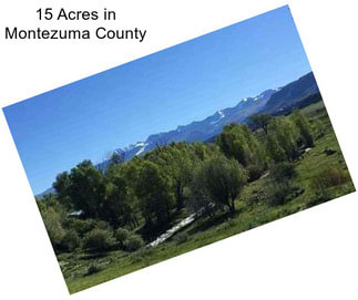 15 Acres in Montezuma County