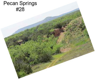 Pecan Springs #28