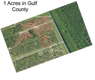 1 Acres in Gulf County