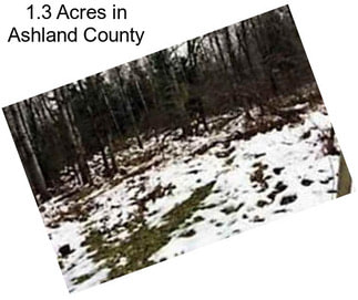1.3 Acres in Ashland County