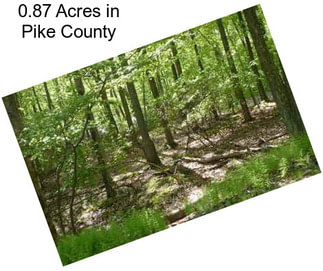 0.87 Acres in Pike County