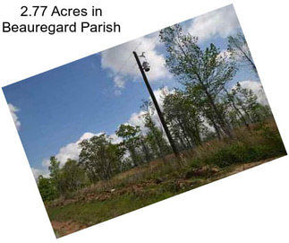 2.77 Acres in Beauregard Parish