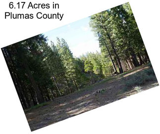 6.17 Acres in Plumas County