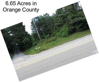 6.65 Acres in Orange County
