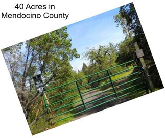 40 Acres in Mendocino County