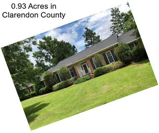 0.93 Acres in Clarendon County