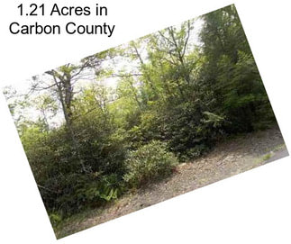 1.21 Acres in Carbon County